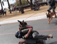 Repórter da Folha atacado por cães da Polícia Militar nos arredores do Estádio Nacional de Brasília. (Crédito: Folha de S. Paulo)