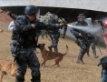 Policiais agridem jornalista durante manifestação em Brasília/ Foto: Fabio Braga/Folha Press